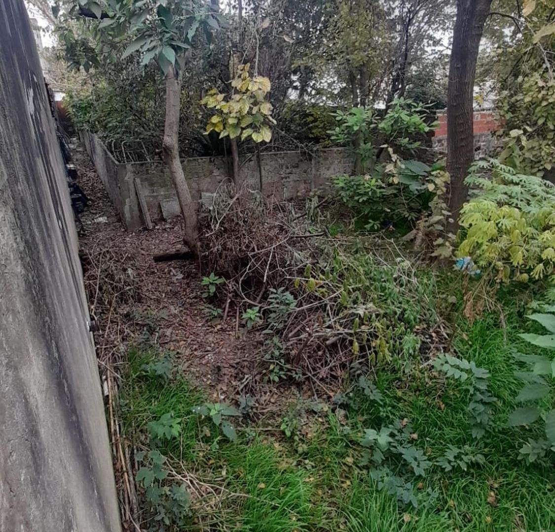 Foto de Venta Lote de en Bernal Oeste, imagen 3