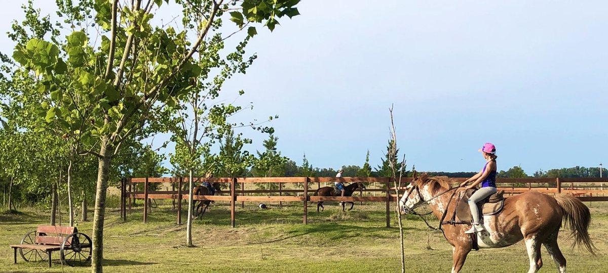 Foto de VENTA LOTE TERRENO 700 M2 CAMPOS DE LA ENRIQUETA, imagen 1