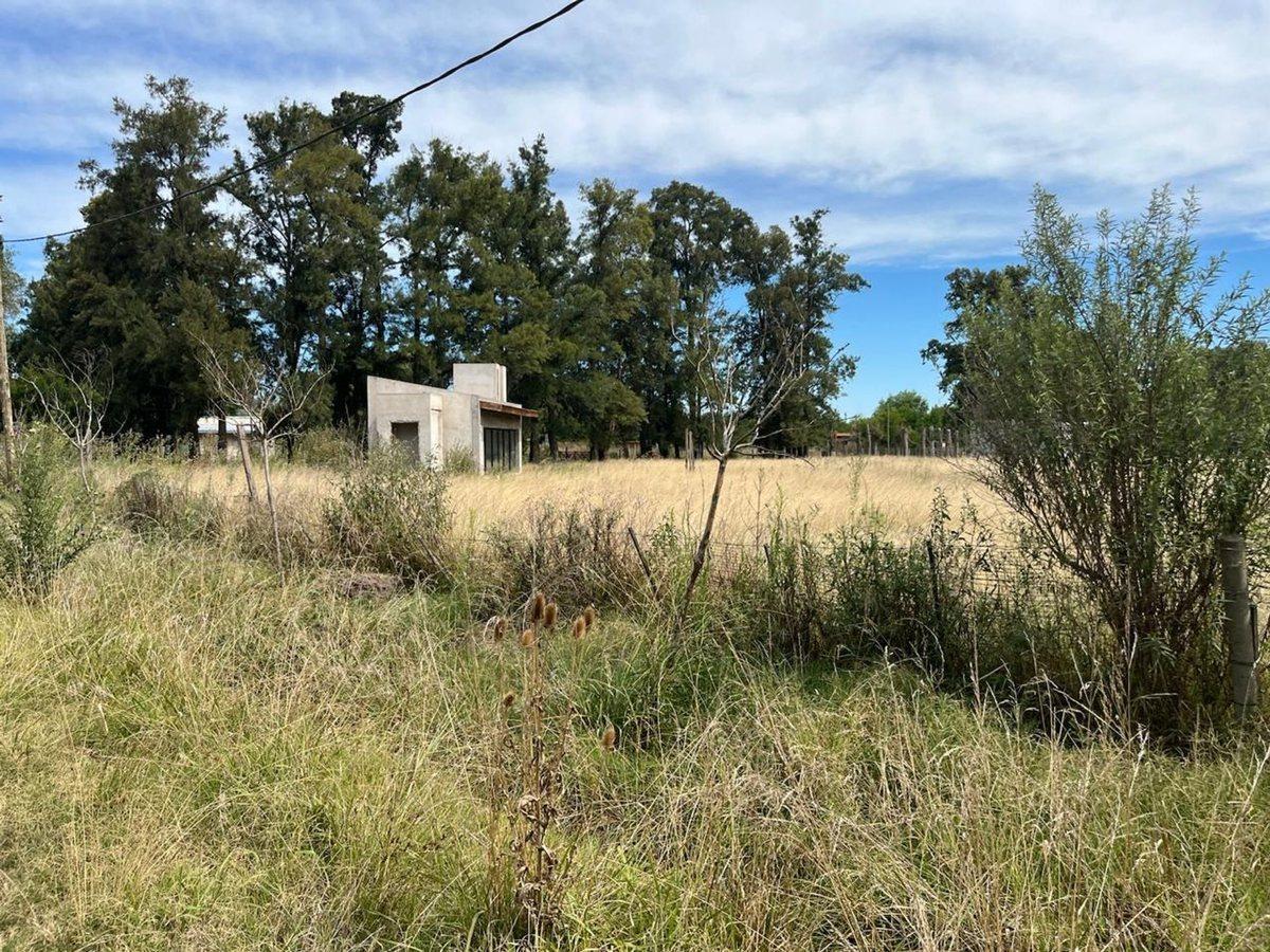 Foto de LOTE DE 4996 m2 EN VENTA ABASTO, imagen 3