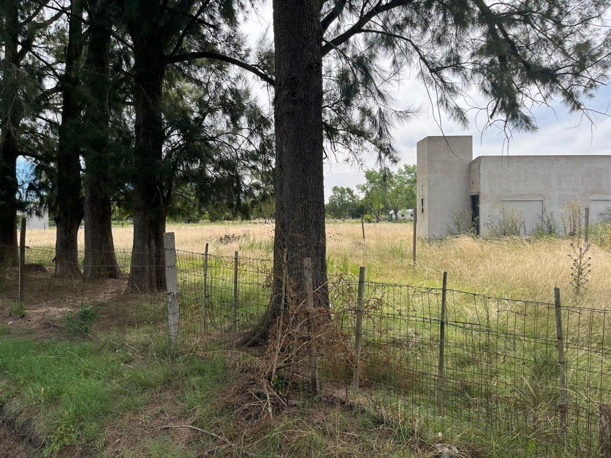 Foto de LOTE DE 4996 m2 EN VENTA ABASTO, imagen 4