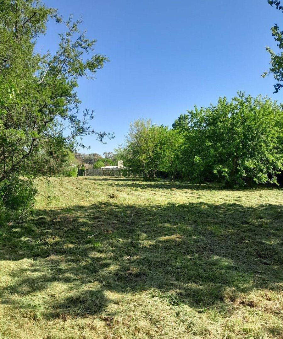 Foto de VENTA LOTE VILLA ELISA, imagen 1
