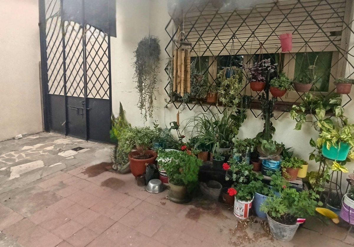 Foto de VENTA CASA CON JARDIN Y COCHERA BERAZATEGUI CENTRO, imagen 3