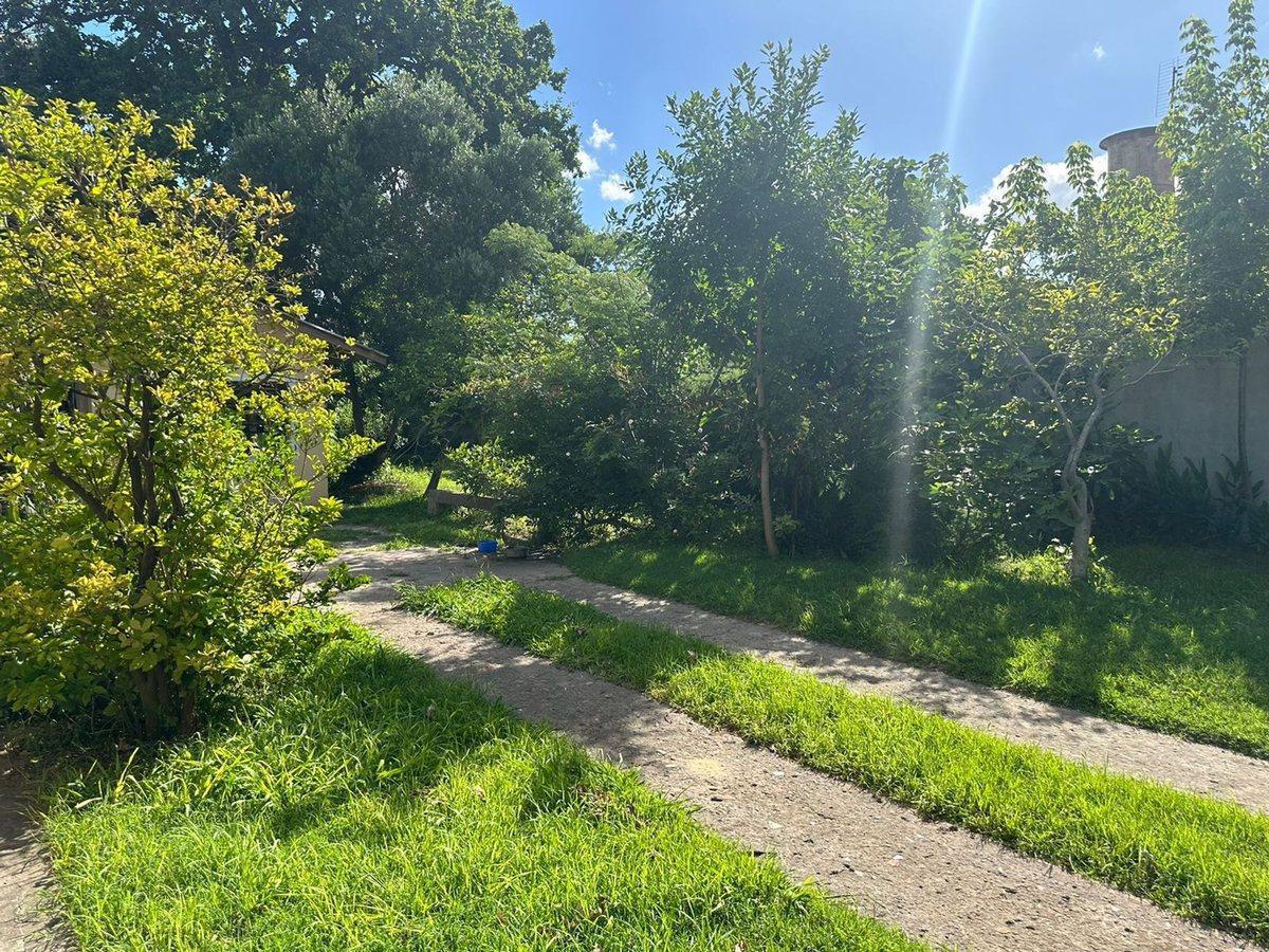 Foto de VENTA LOTE BERAZATEGUI, imagen 2