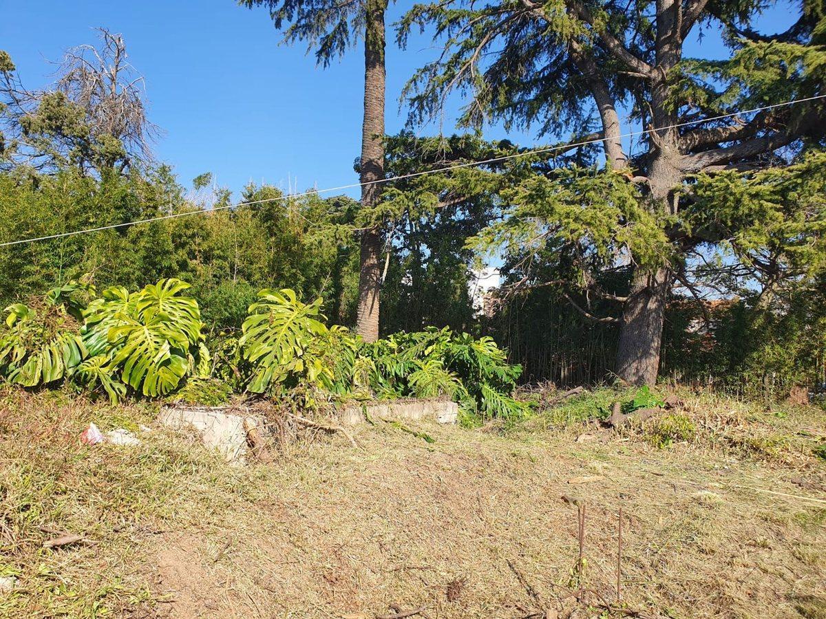 Foto de LOTE EN VENTA EN QUILMES, imagen 2