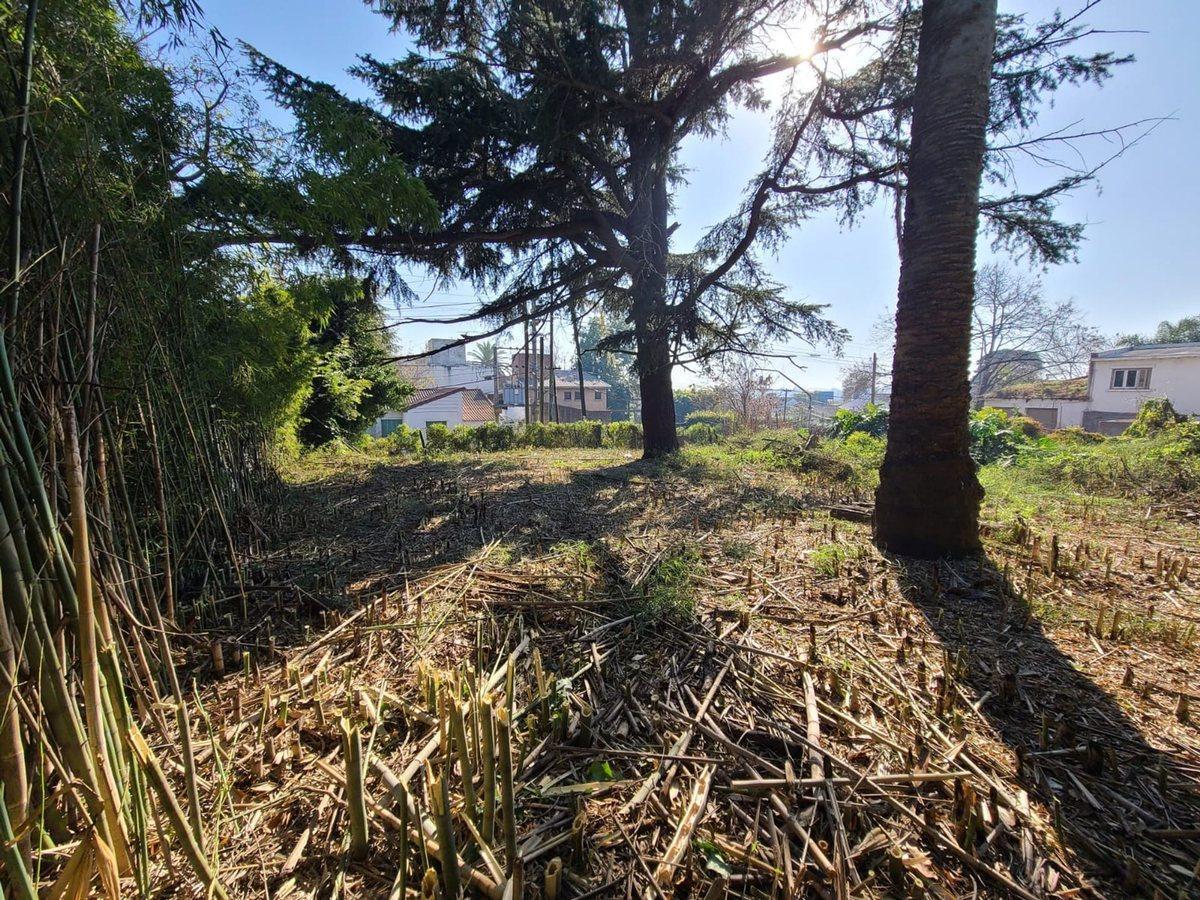 Foto de LOTE EN VENTA EN QUILMES, imagen 4
