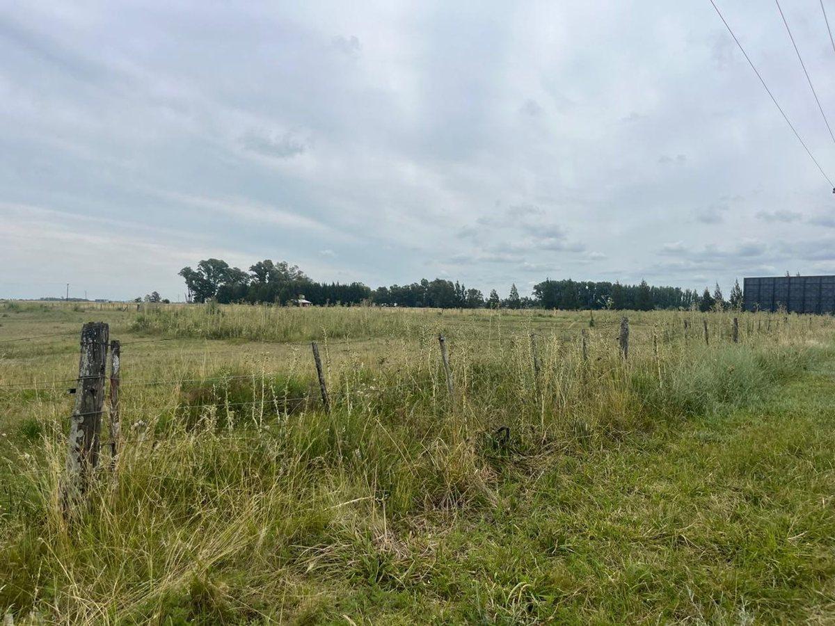 Foto de VENTA LOTE DE 1712 m2 EN RUTA 2 CHASCOMUS, imagen 1