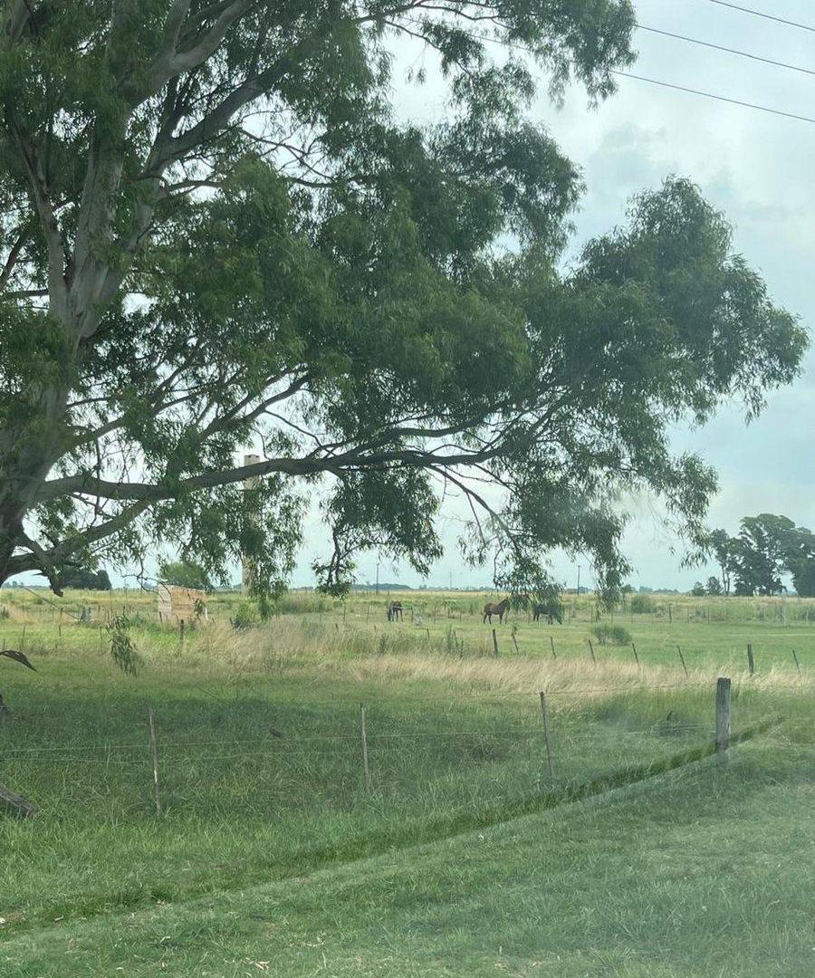Foto de VENTA LOTE DE 1712 m2 EN RUTA 2 CHASCOMUS, imagen 2