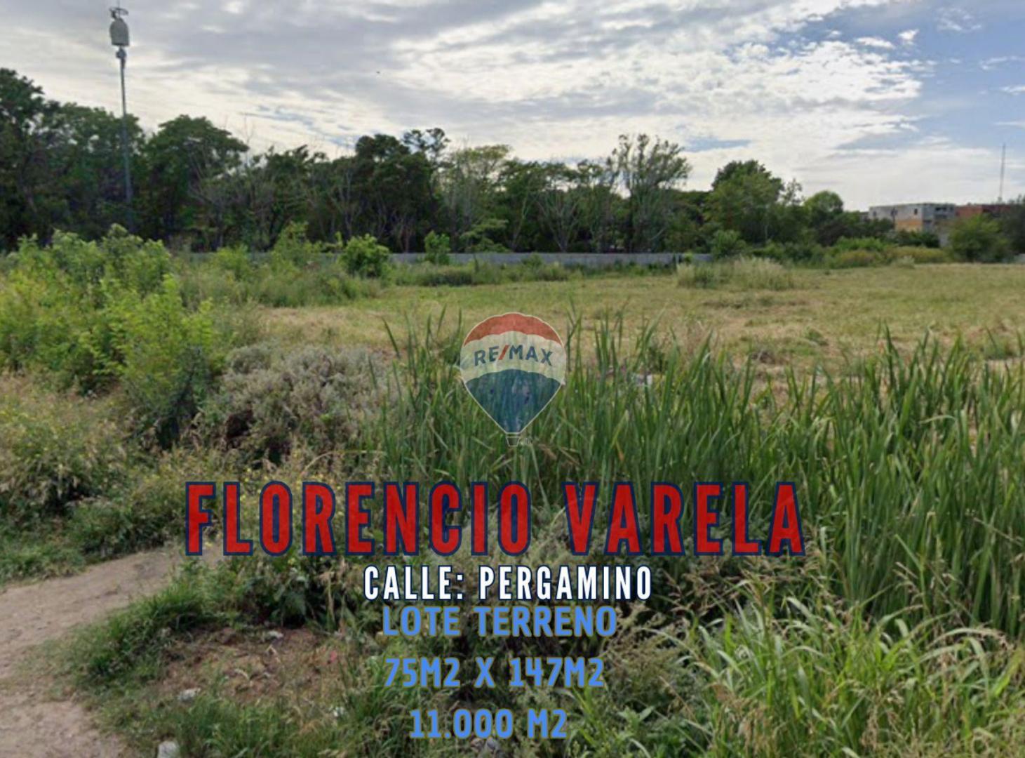 Foto de VENTA LOTE TERRENO 11.000 N2 BOSQUES F. VARELA, imagen 5