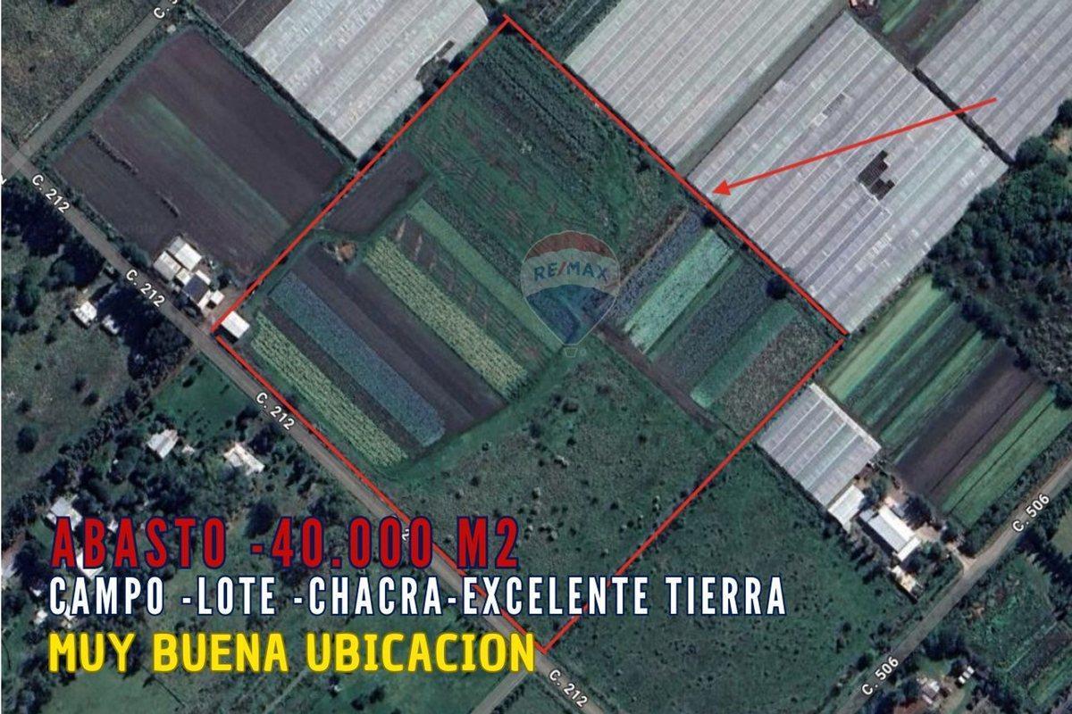 Foto de CAMPO EN VENTA 4 HECTARIAS ABASTO LA PLATA CHACRA, imagen 2