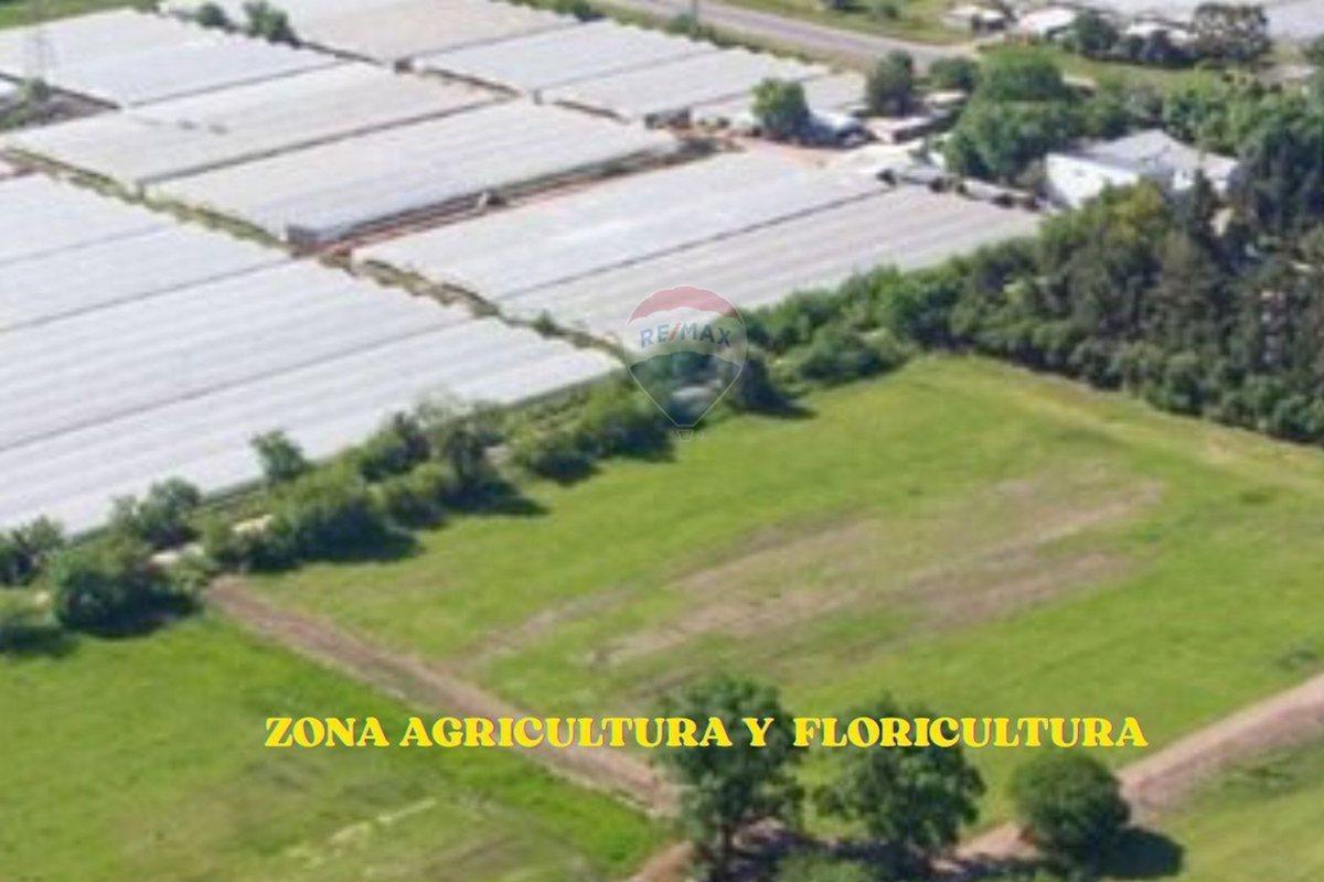 Foto de CAMPO EN VENTA 4 HECTARIAS ABASTO LA PLATA CHACRA, imagen 1