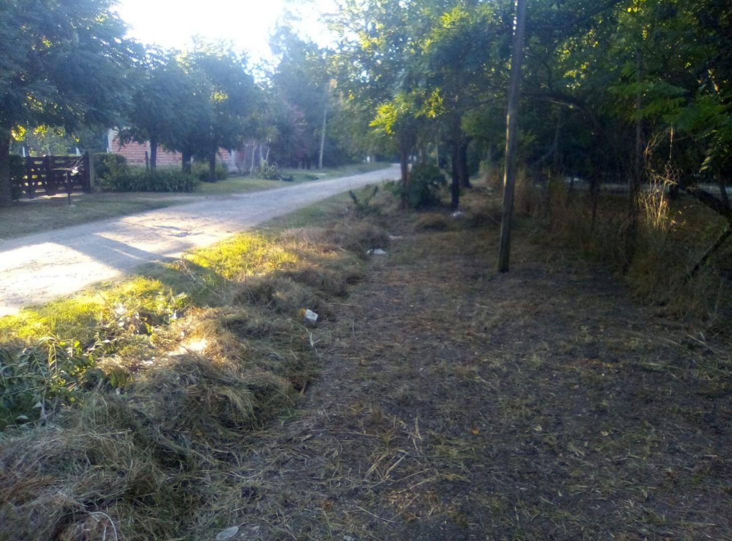 Foto de VENTA LOTE 4.033 M2 EL PATO, imagen 5