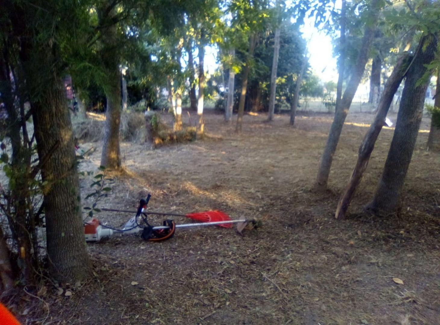 Foto de VENTA LOTE 4.033 M2 EL PATO, imagen 4