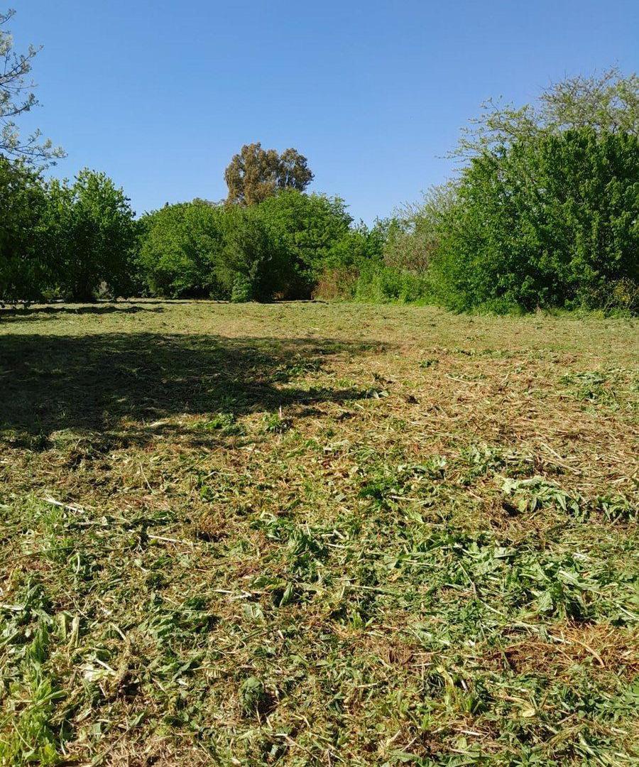 Foto de VENTA LOTE VILLA ELISA, imagen 5
