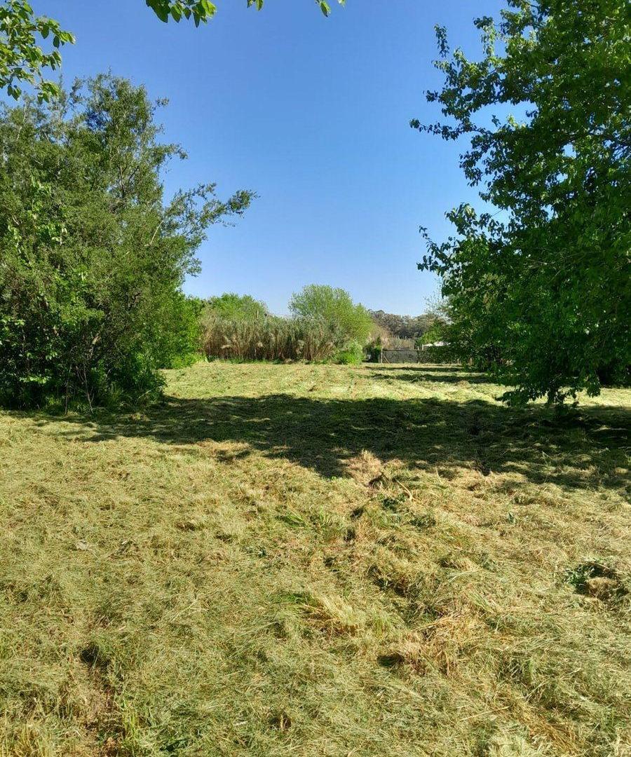 Foto de VENTA LOTE VILLA ELISA, imagen 2