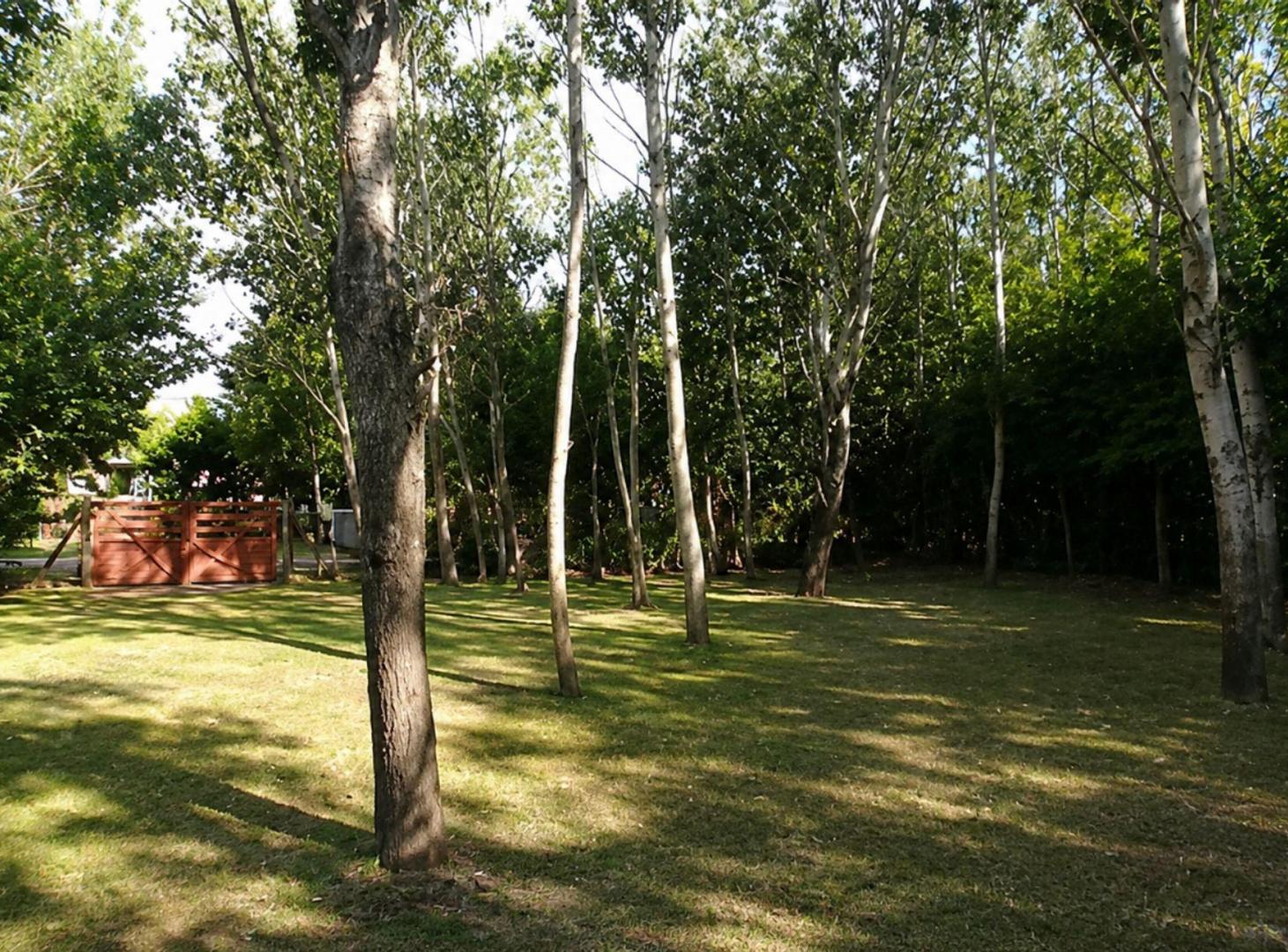 Foto de VENTA QUINTA CON PILETA EN EL PELIGRO, LA PLATA, imagen 5