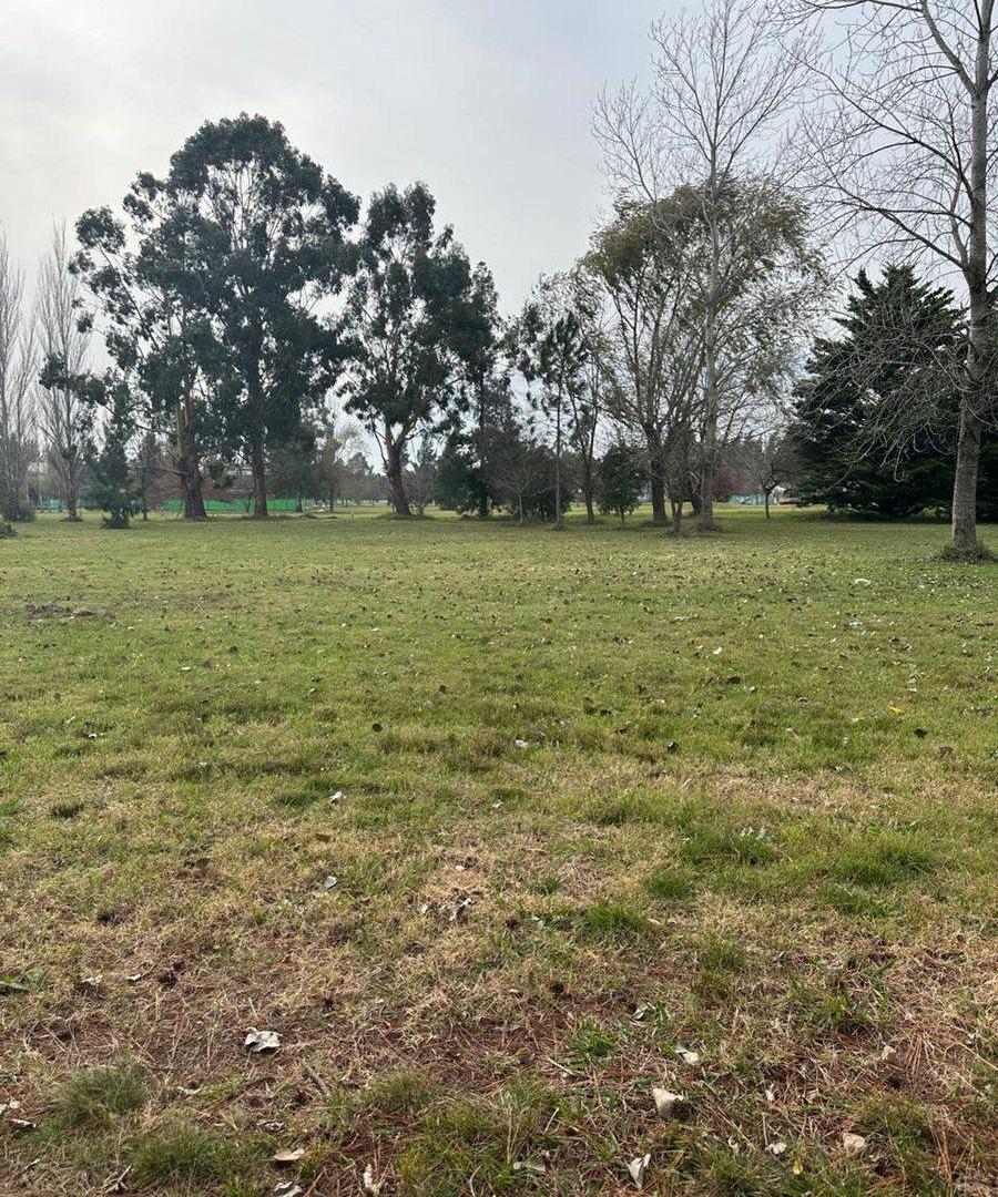 Foto de VENTA LOTE MIRALAGOS II, imagen 1