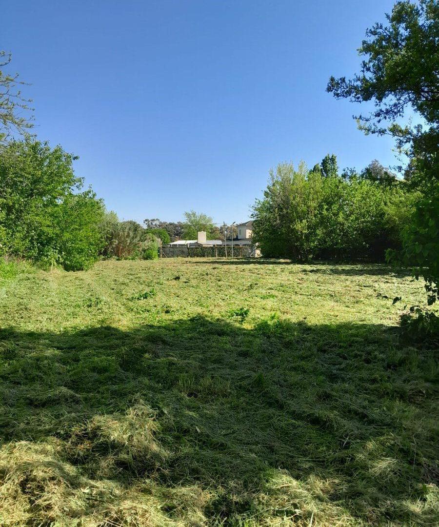 Foto de VENTA LOTE VILLA ELISA, imagen 4