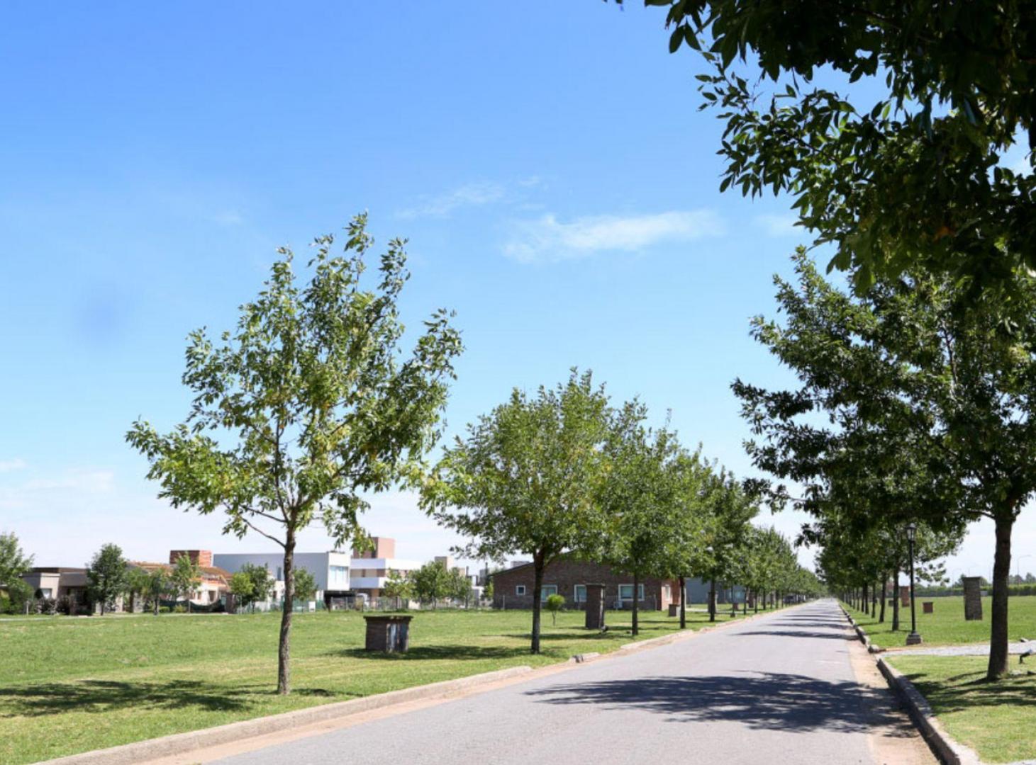 Foto de VENTA LOTE BARRANCAS DE IRAOLA, imagen 1