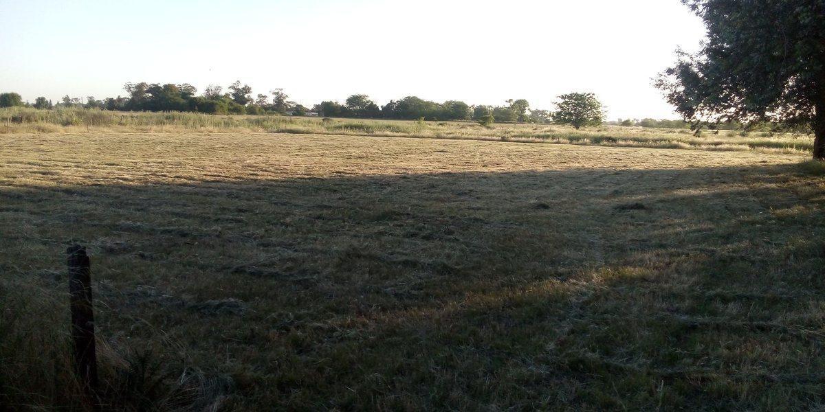 Foto de VENTA TERRENO 7 HECTAREAS EN LA CAPILLA F.VARELA, imagen 5