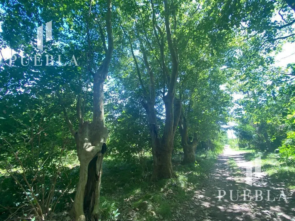 Campo en San Vicente, Zona Sur 2