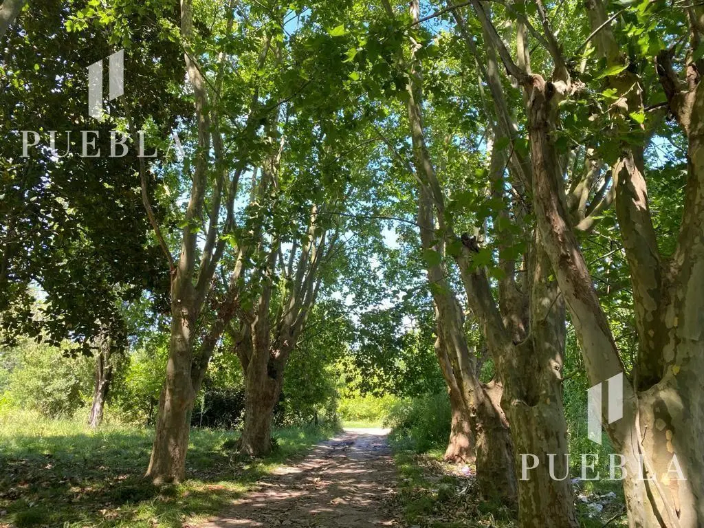 Campo en San Vicente, Zona Sur 4
