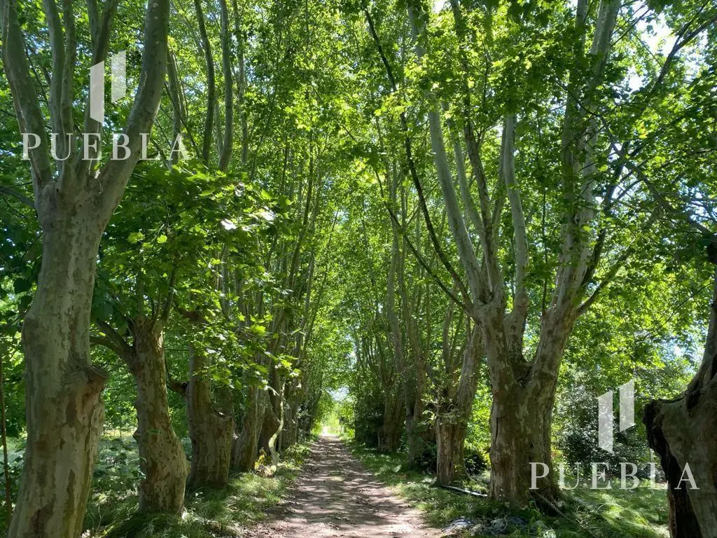 Campo en San Vicente, Zona Sur 8