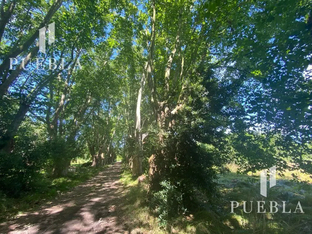 Campo en San Vicente, Zona Sur 3