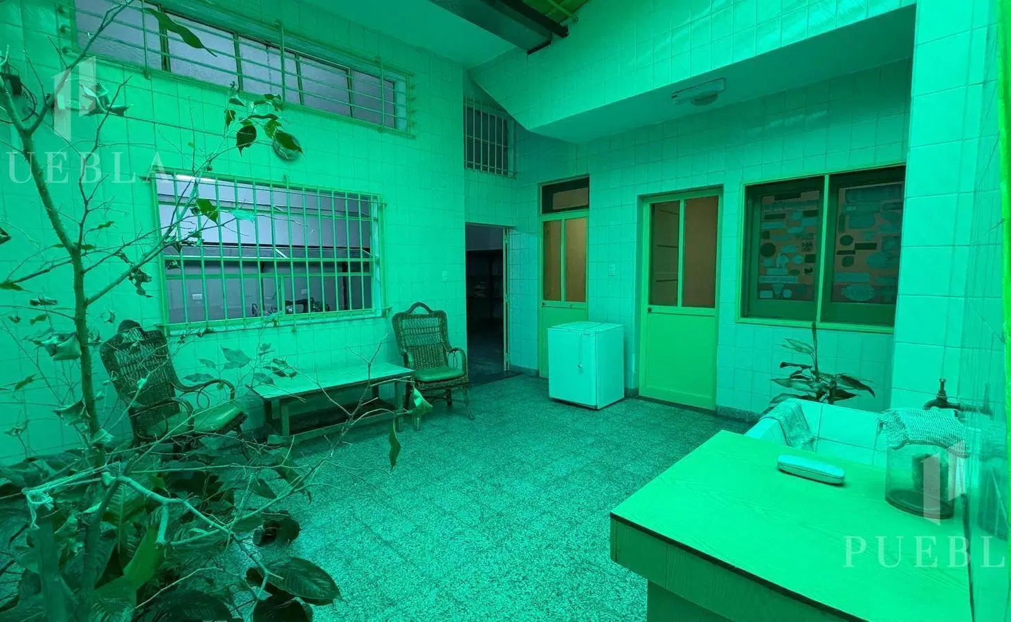 Taller / depósito con oficinas y vivienda, patio y terraza propia 2
