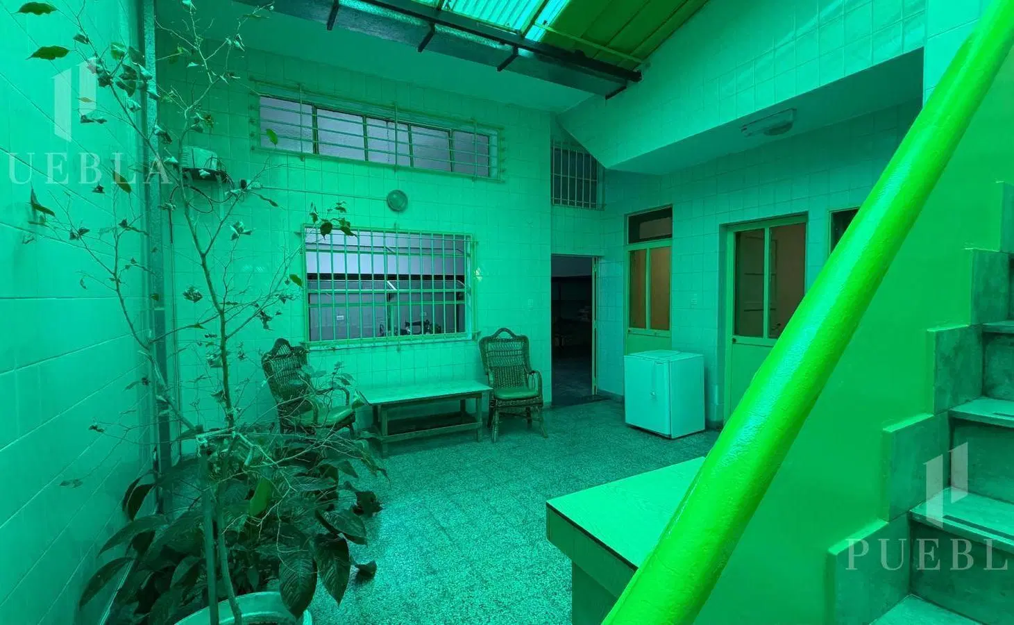 Taller / depósito con oficinas y vivienda, patio y terraza propia 4