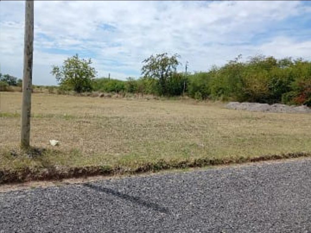 Foto de CAÑUELAS-LOTE CON FONDO ESPACIO VERDE EN AYRES DE CASARES-VICENTE, imagen 3