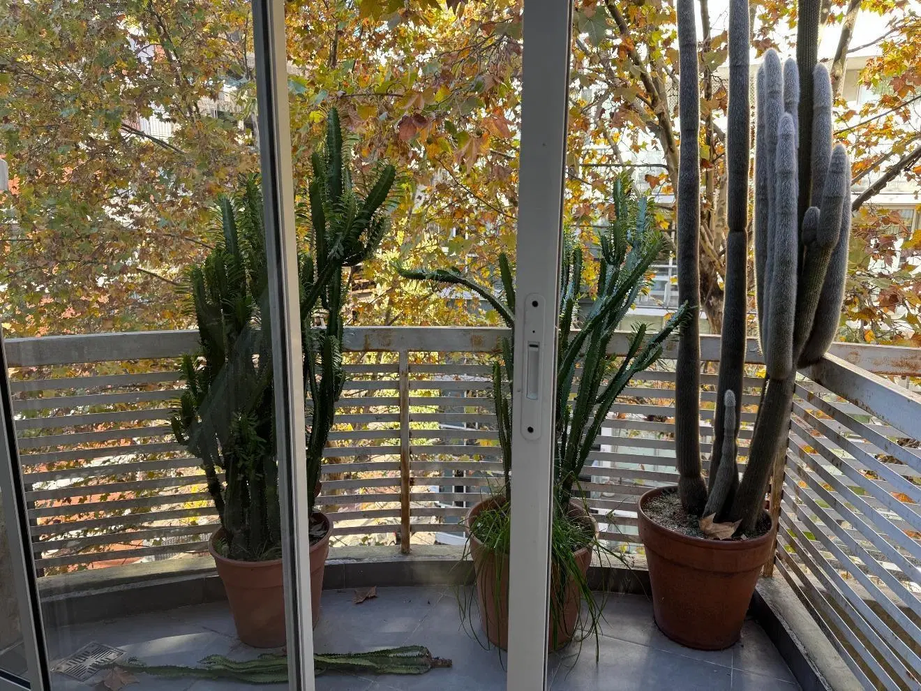DEPARTAMENTO EN VENTA EN RECOLETA DE 2 AMBIENTES CON COCHERA 2