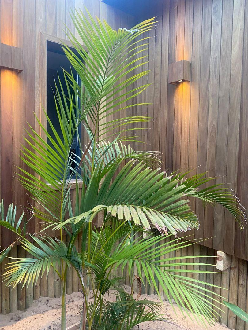 Foto de Alquiler de casa de 2 dormitorios en La Barra, imagen 1