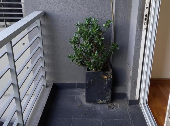 Departamento 2 ambientes con balcón, patio y 2 baños - Villa Urquiza 3
