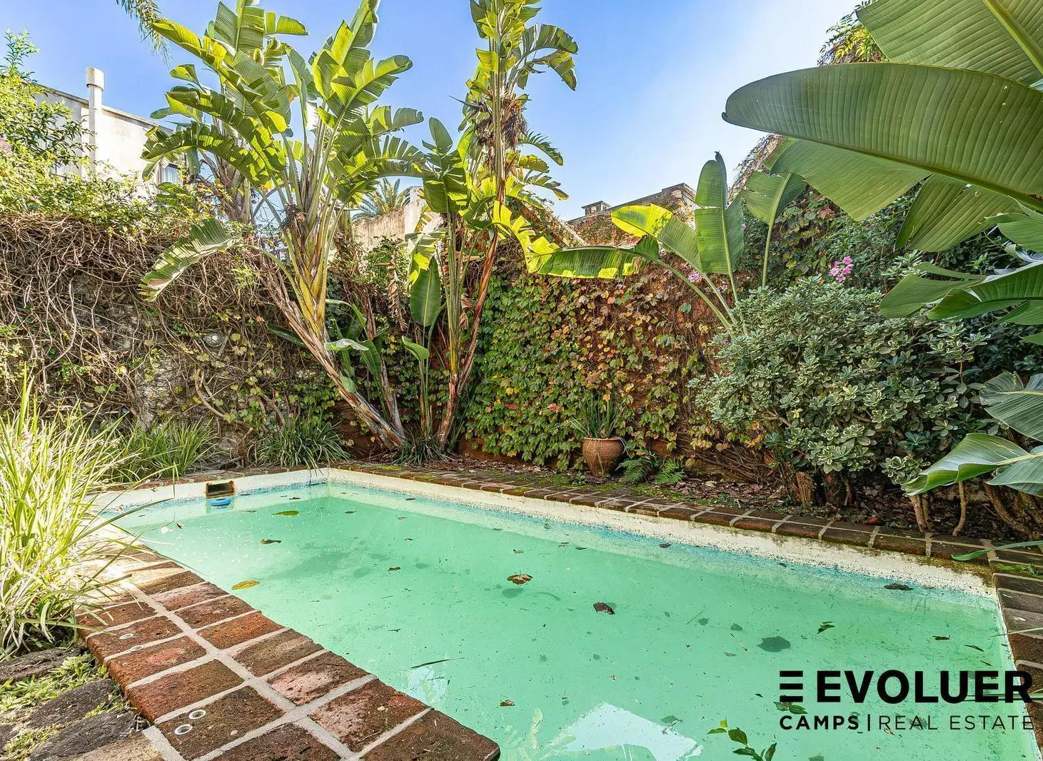 Venta Casa con jardín, pileta y 2 cocheras 3