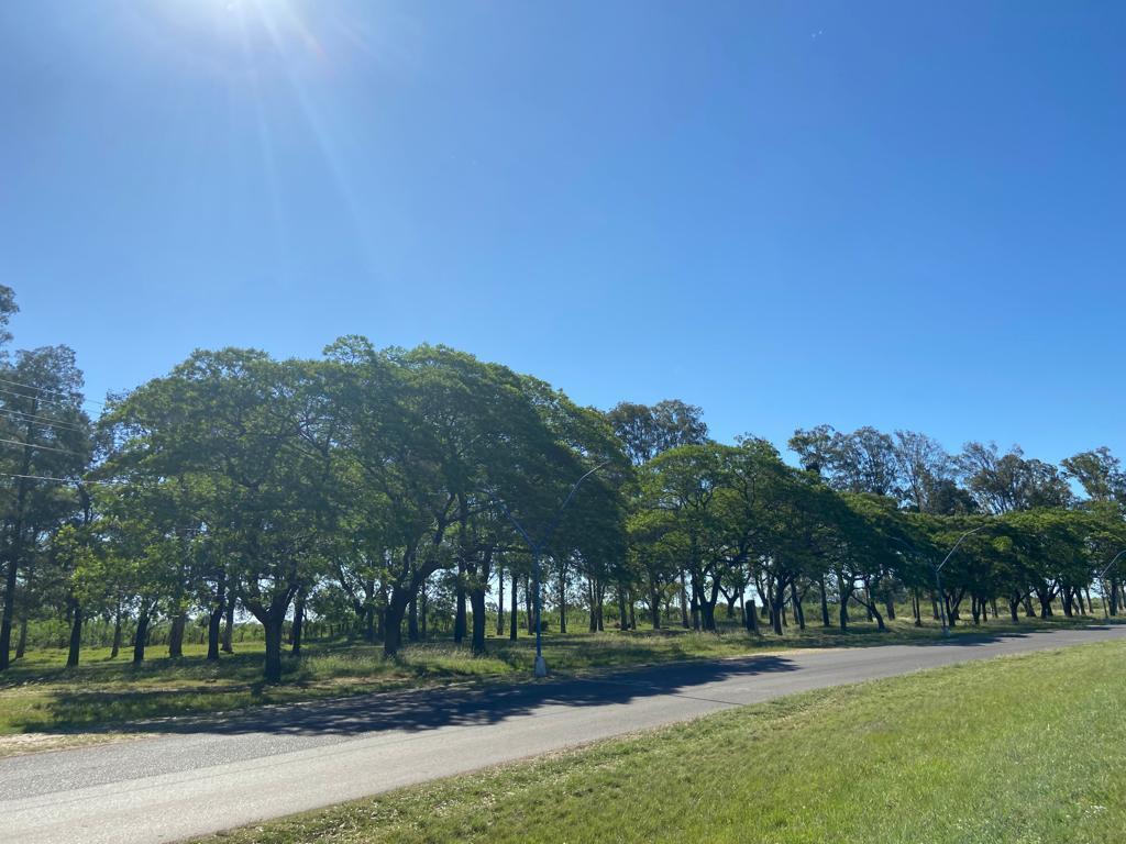 Entre Ríos - Concordia - Terreno de 3000 m² 5