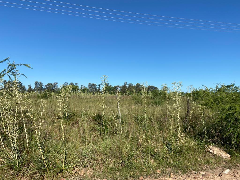 Entre Ríos - Concordia - Terreno de 3000 m² 4