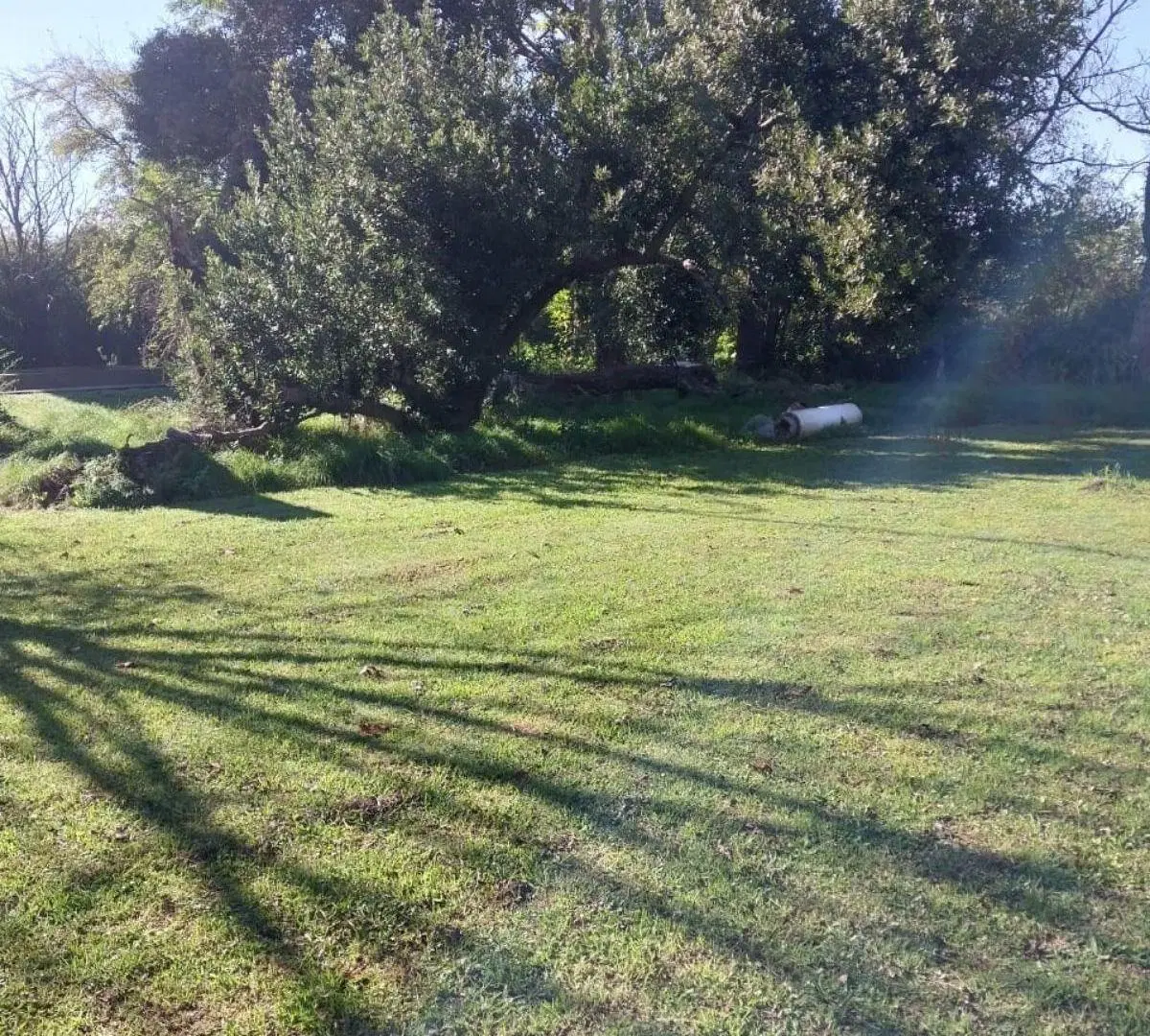 Fracción de Terreno de 3 Hectáreas, apto para Loteo! 4
