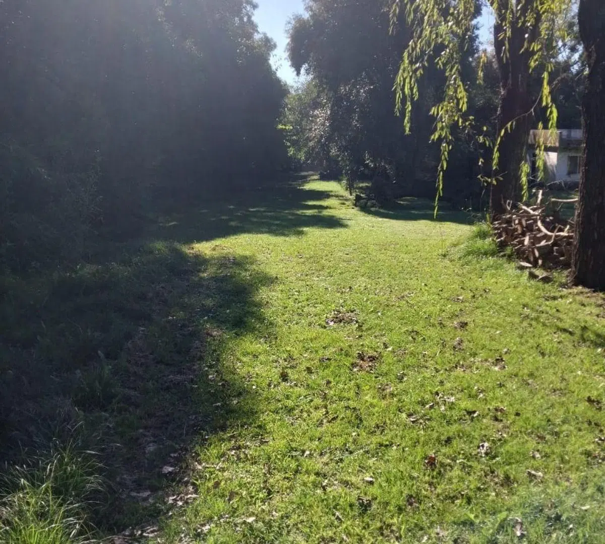 Fracción de Terreno de 3 Hectáreas, apto para Loteo! 5