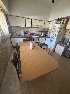 Local galpón casa en Olivos 5