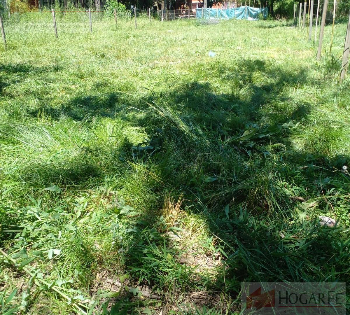 Foto de Terreno en Francisco Alvarez, imagen 1
