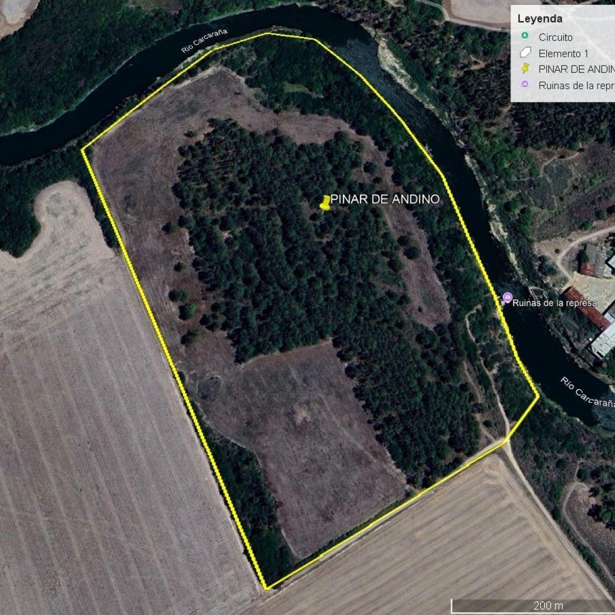 PINAR DE ANDINO 21,6 HA - 50 % AGRÍCOLA 50 % BOSQUE DE PINOS - 800 MTS. DE COSTA SOBRE EL RIO CARCAR