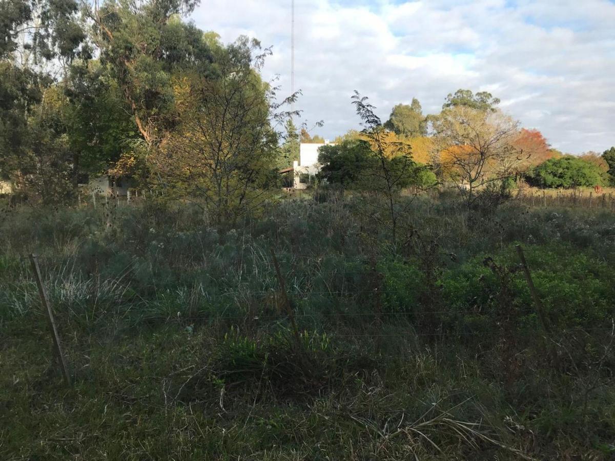 Terrenos en Venta Punta Indio 4