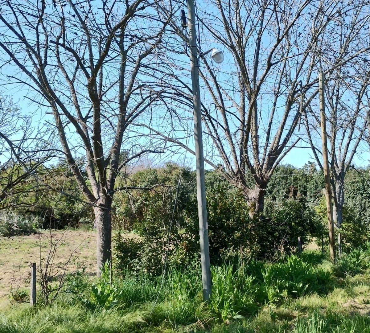 Lote a La Venta en Villa Elisa 3