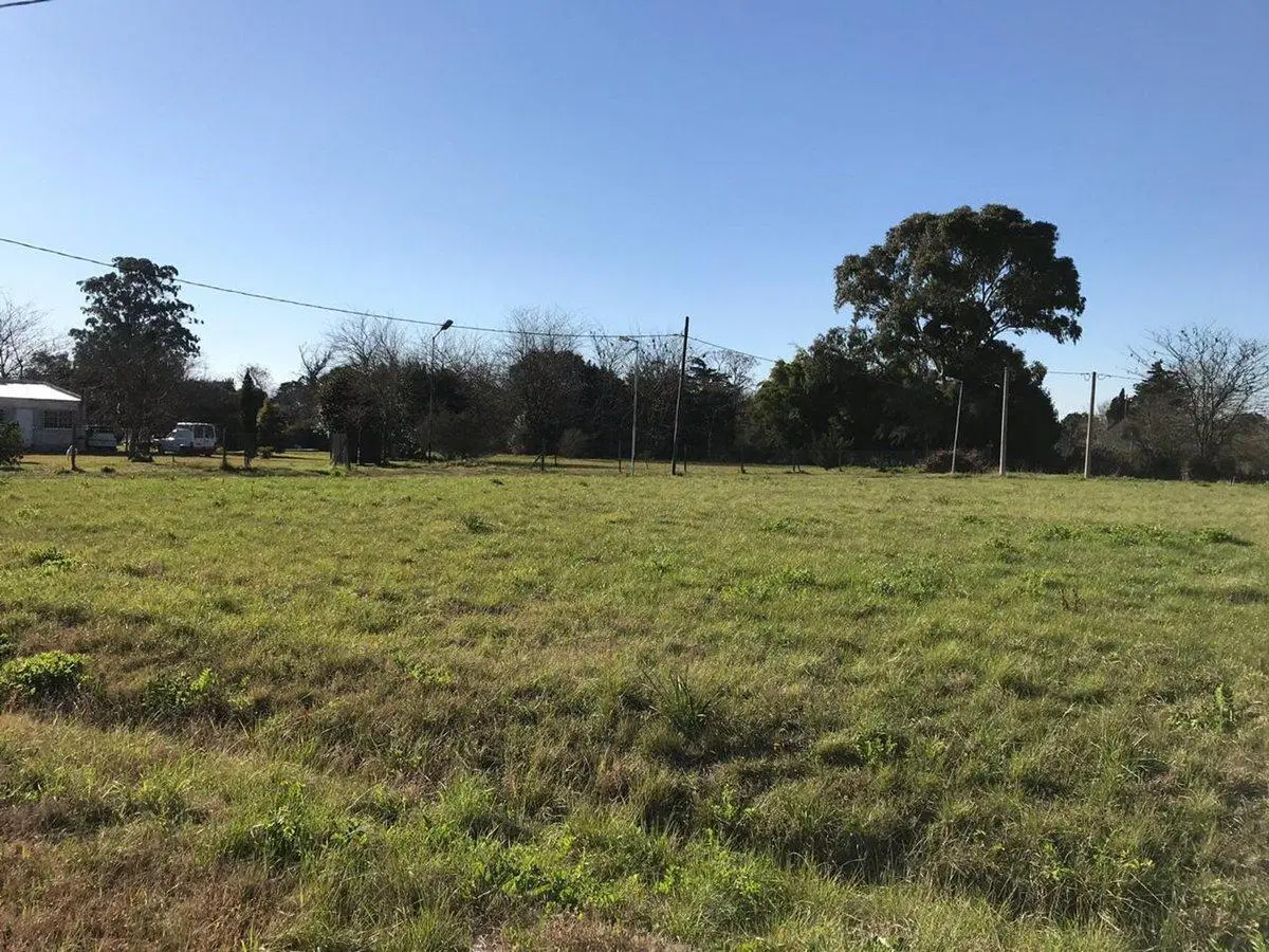 LOTES EN VENTA Villa Elisa 4
