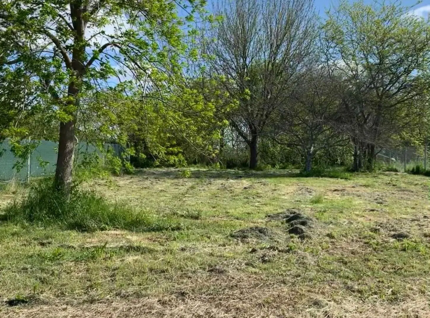 LOTES TERRENOS VILLA ELISA EN VENTA 4