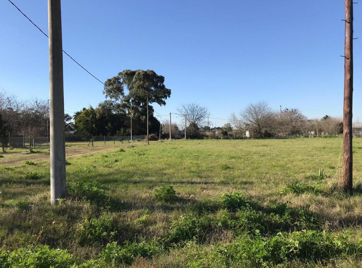 LOTES TERRENOS VILLA ELISA EN VENTA