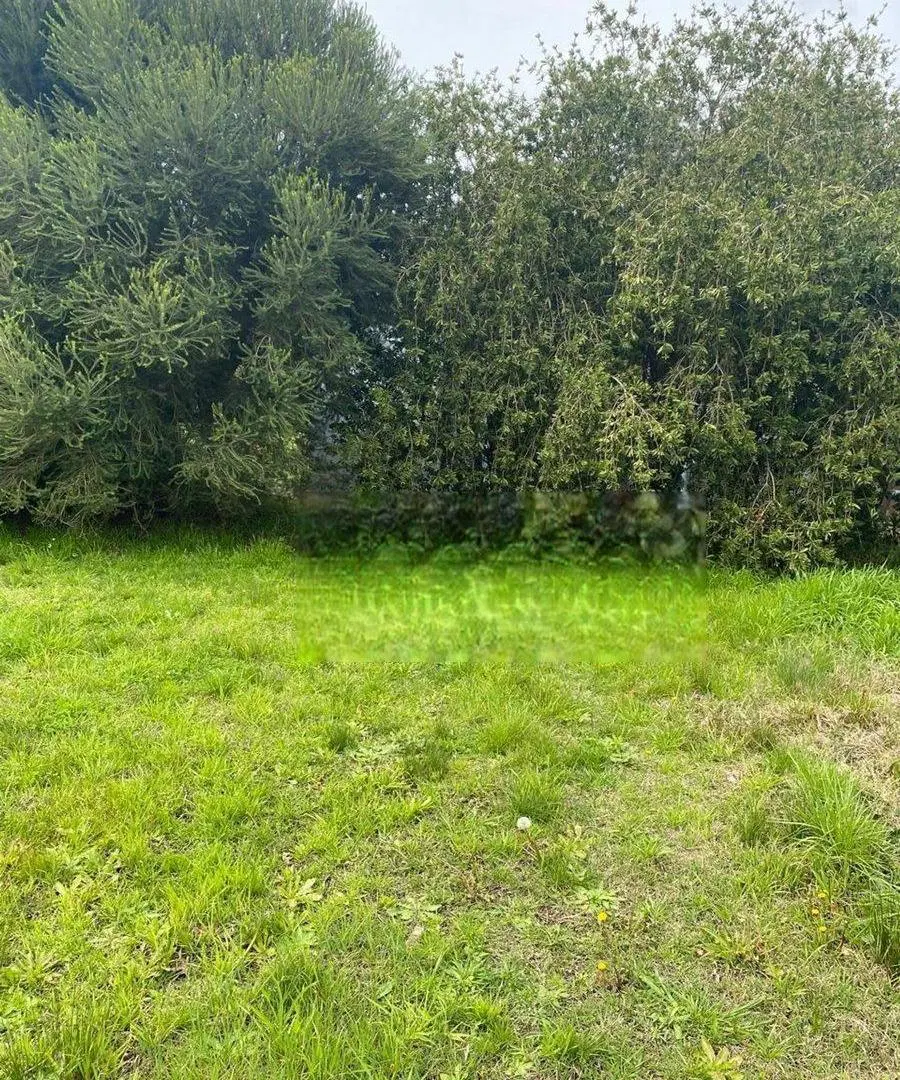 Venta de lote Country Chascomús 5