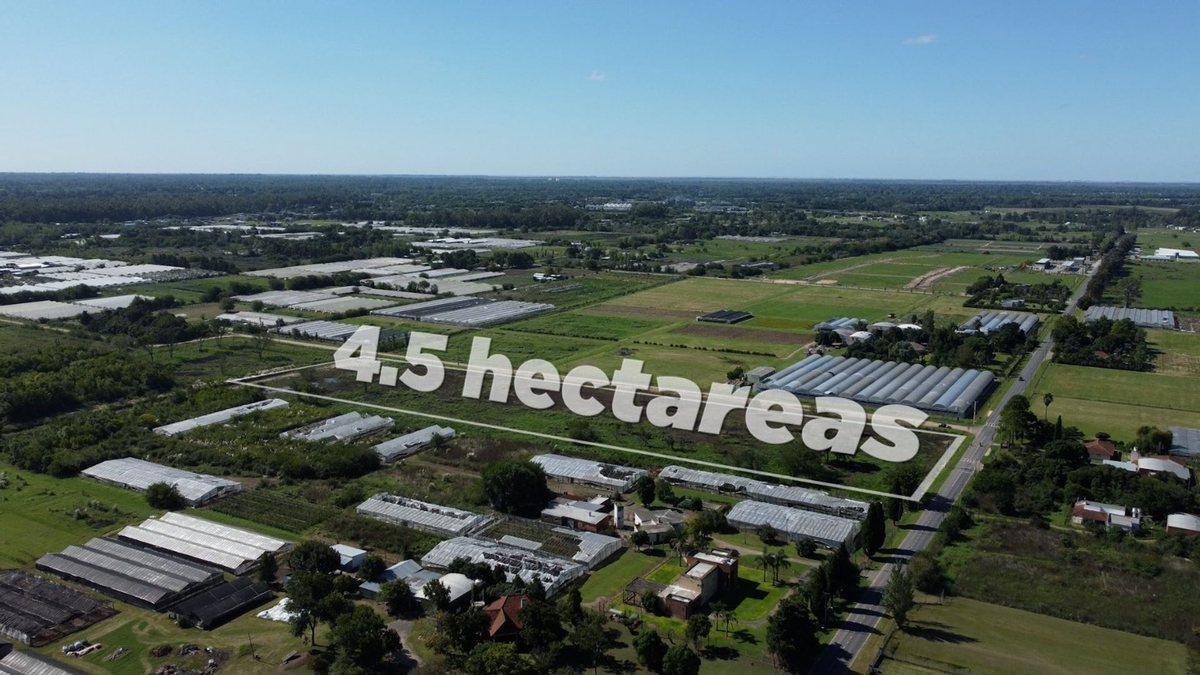 VENTA DE HECTAREAS EN CITY BELL