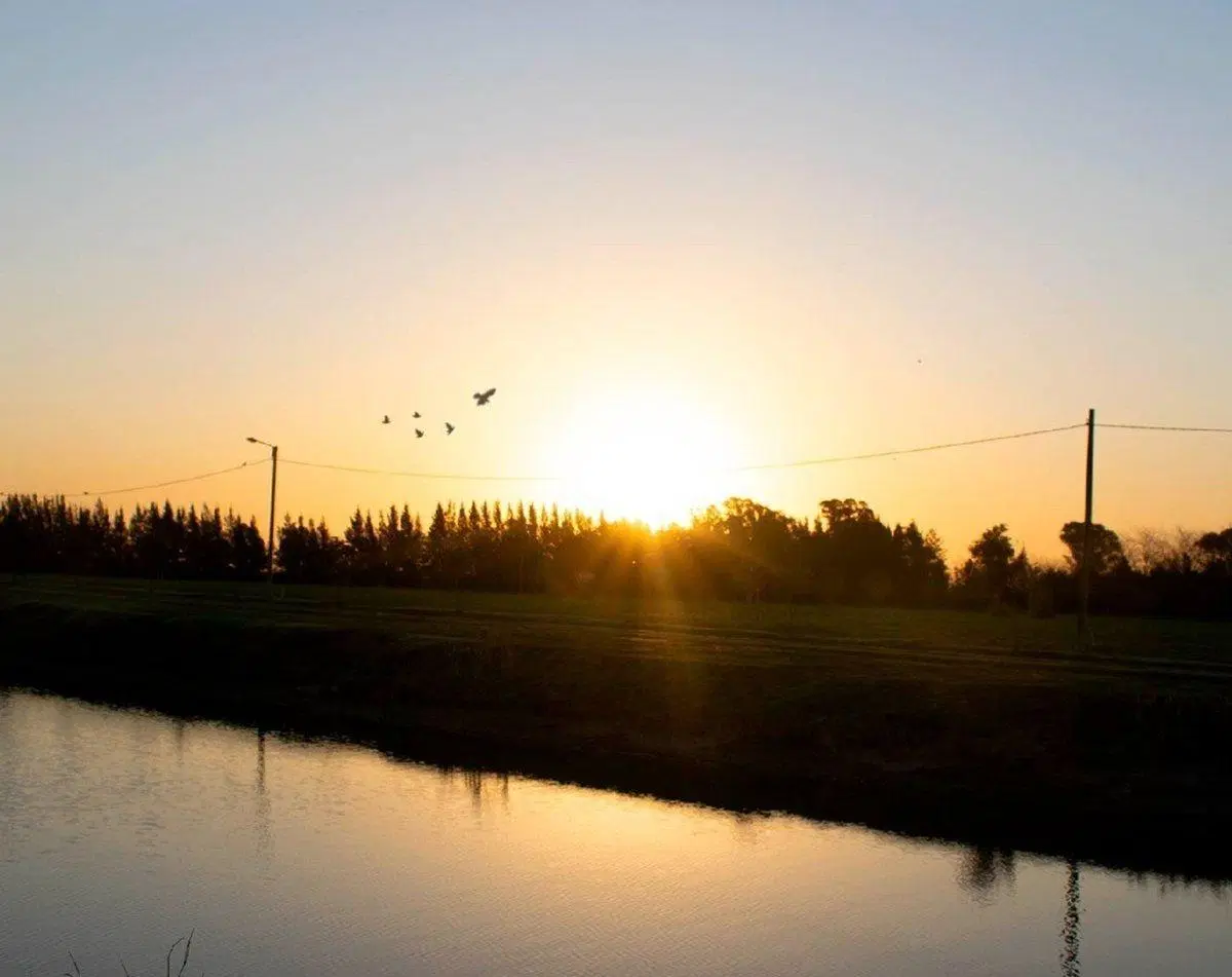CAMPOS DE ROCA LOTE EN VENTA 4