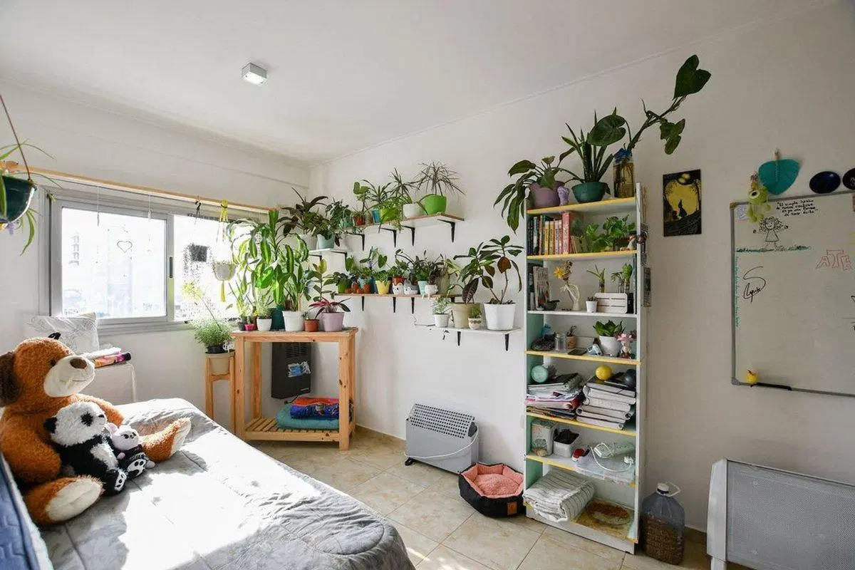 DEPARTAMENTO MONOAMBIENTE EN VENTA LA PLATA 4